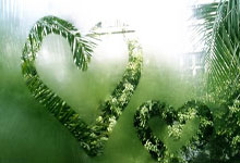 生死战巴黎大师赛前瞻：赵继伟伤情更新，热刺冲击连胜纪录的简单介绍